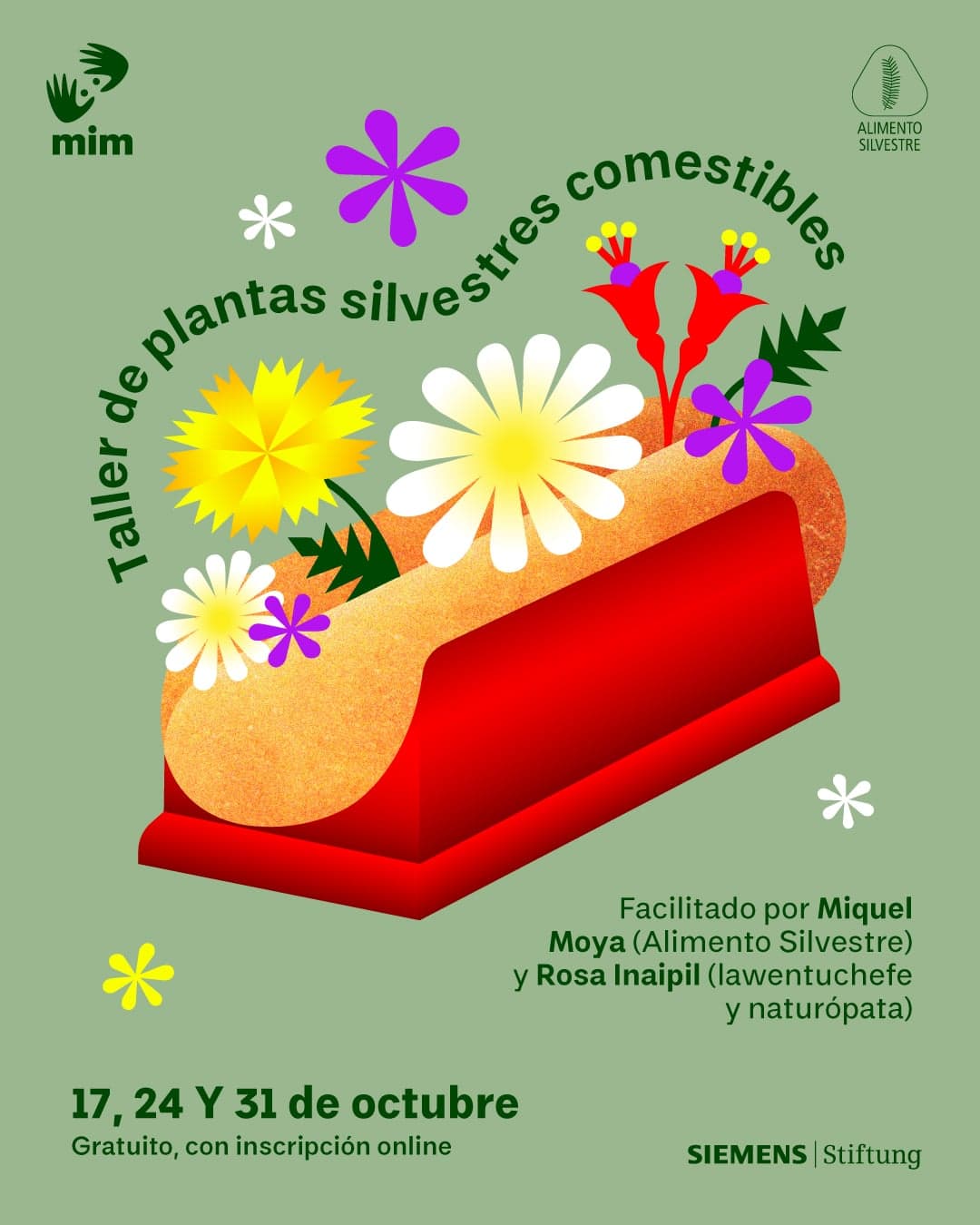 Taller de Plantas Silvestres Comestibles en Museo Interactivo Mirador